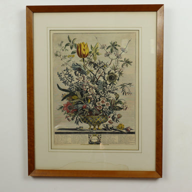 C 1730 Robert Furber - February Floral Calendar Hand Colored Etching - Engraved by H. Fletcher | Work of Man