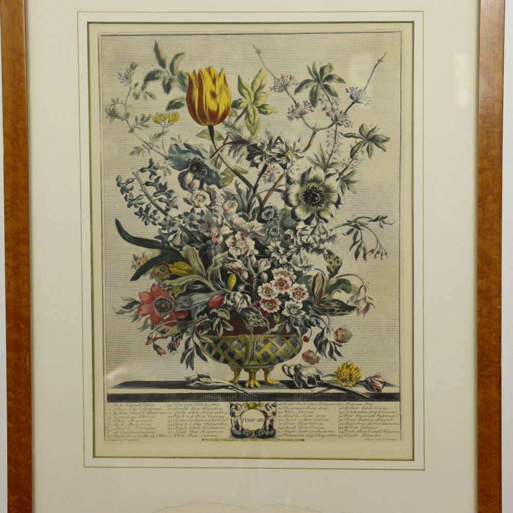 AW7-013: C 1730 Robert Furber - February Floral Calendar Hand Colored Etching - Engraved by H. Fletcher