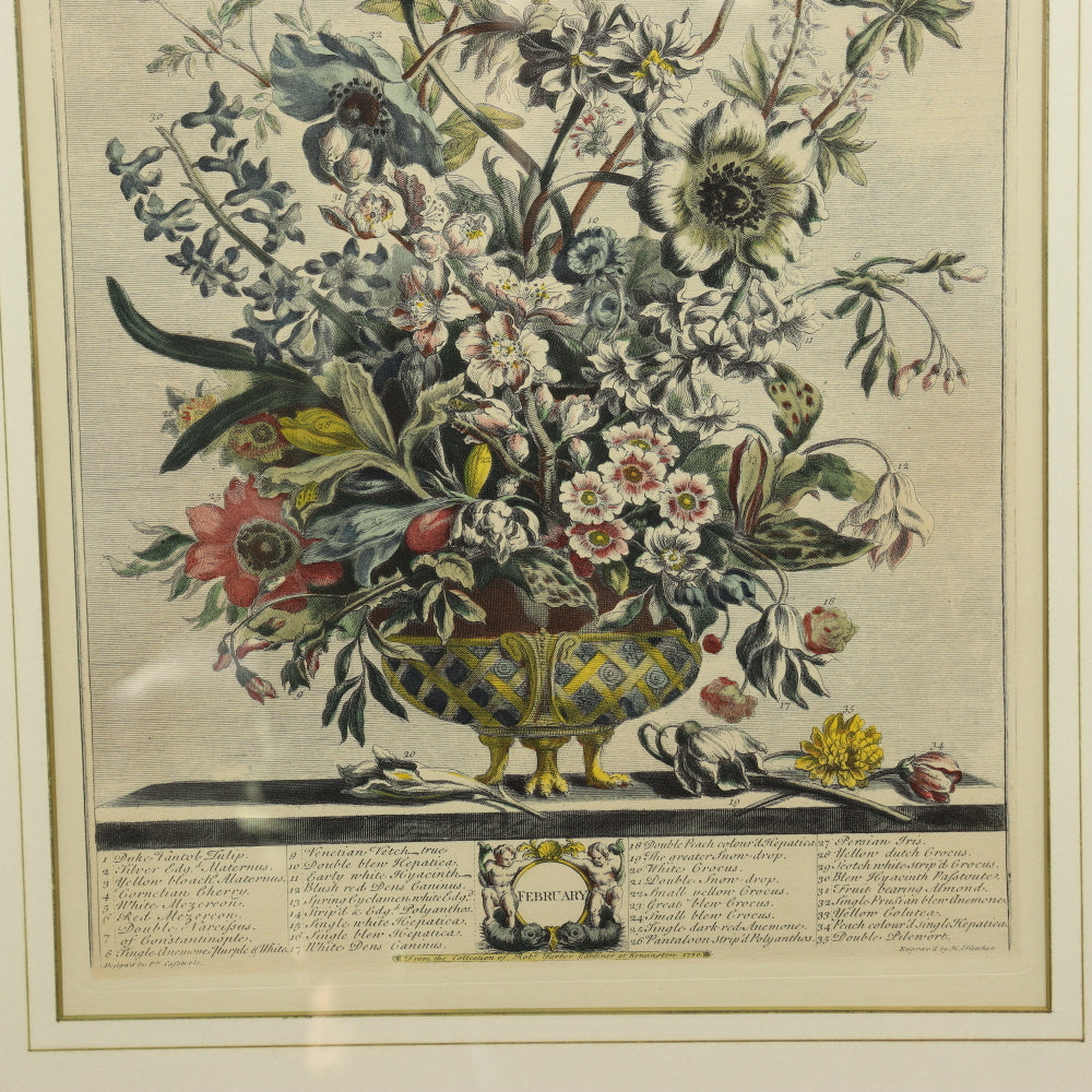 AW7-013: C 1730 Robert Furber - February Floral Calendar Hand Colored Etching - Engraved by H. Fletcher