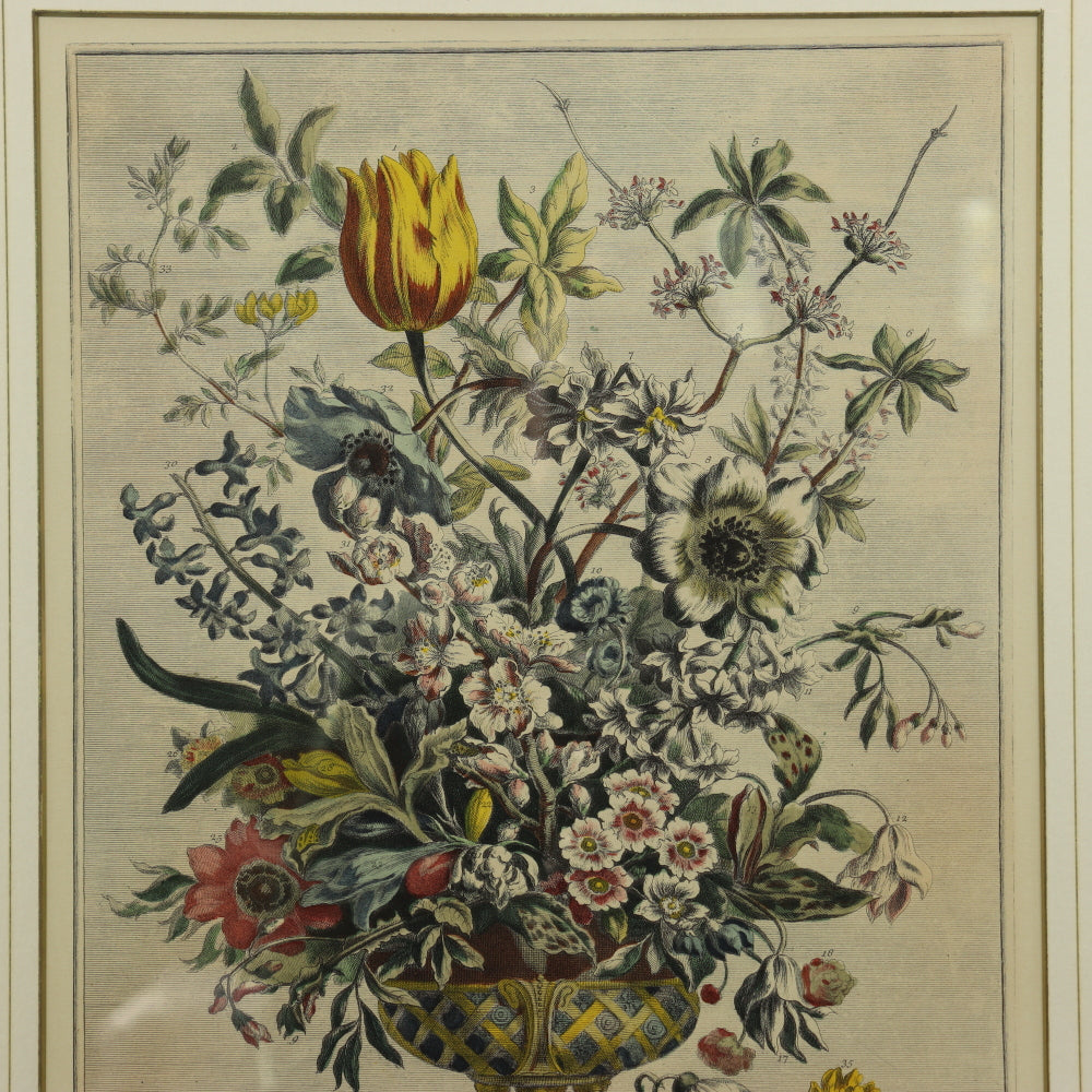 AW7-013: C 1730 Robert Furber - February Floral Calendar Hand Colored Etching - Engraved by H. Fletcher