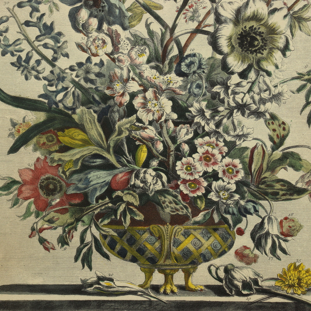 AW7-013: C 1730 Robert Furber - February Floral Calendar Hand Colored Etching - Engraved by H. Fletcher