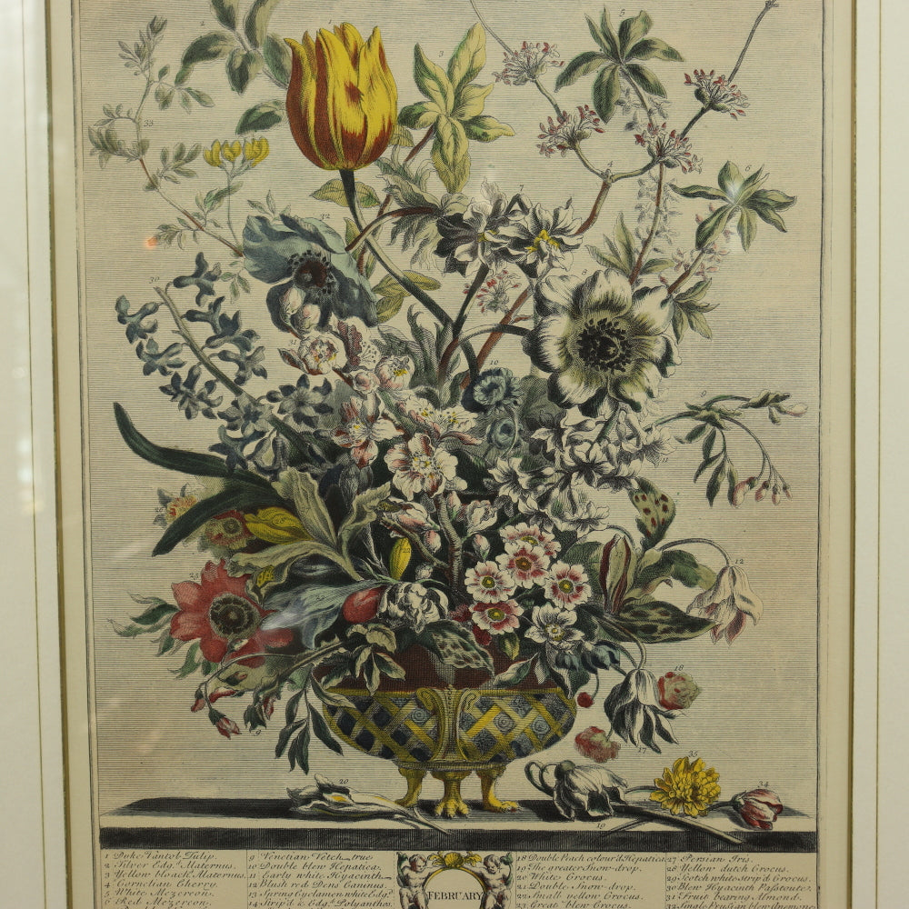 AW7-013: C 1730 Robert Furber - February Floral Calendar Hand Colored Etching - Engraved by H. Fletcher