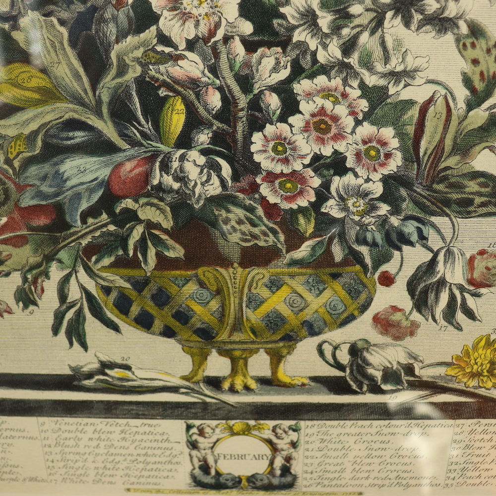 AW7-013: C 1730 Robert Furber - February Floral Calendar Hand Colored Etching - Engraved by H. Fletcher