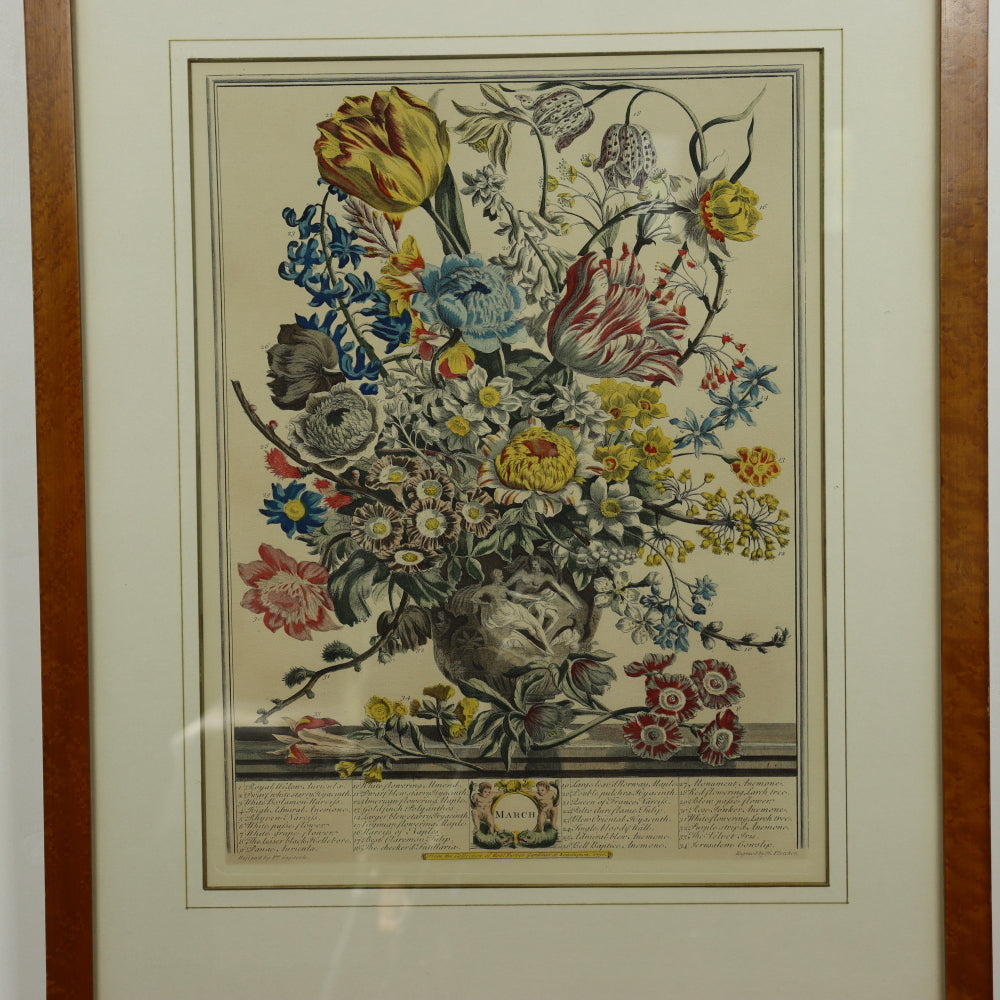 AW7-011: C 1730 Robert Furber - March Floral Calendar Hand Colored Etching - Engraved by H. Fletcher