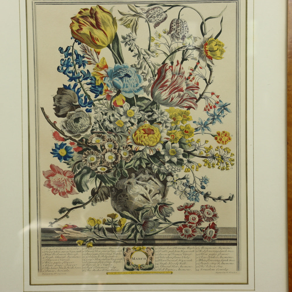 AW7-011: C 1730 Robert Furber - March Floral Calendar Hand Colored Etching - Engraved by H. Fletcher