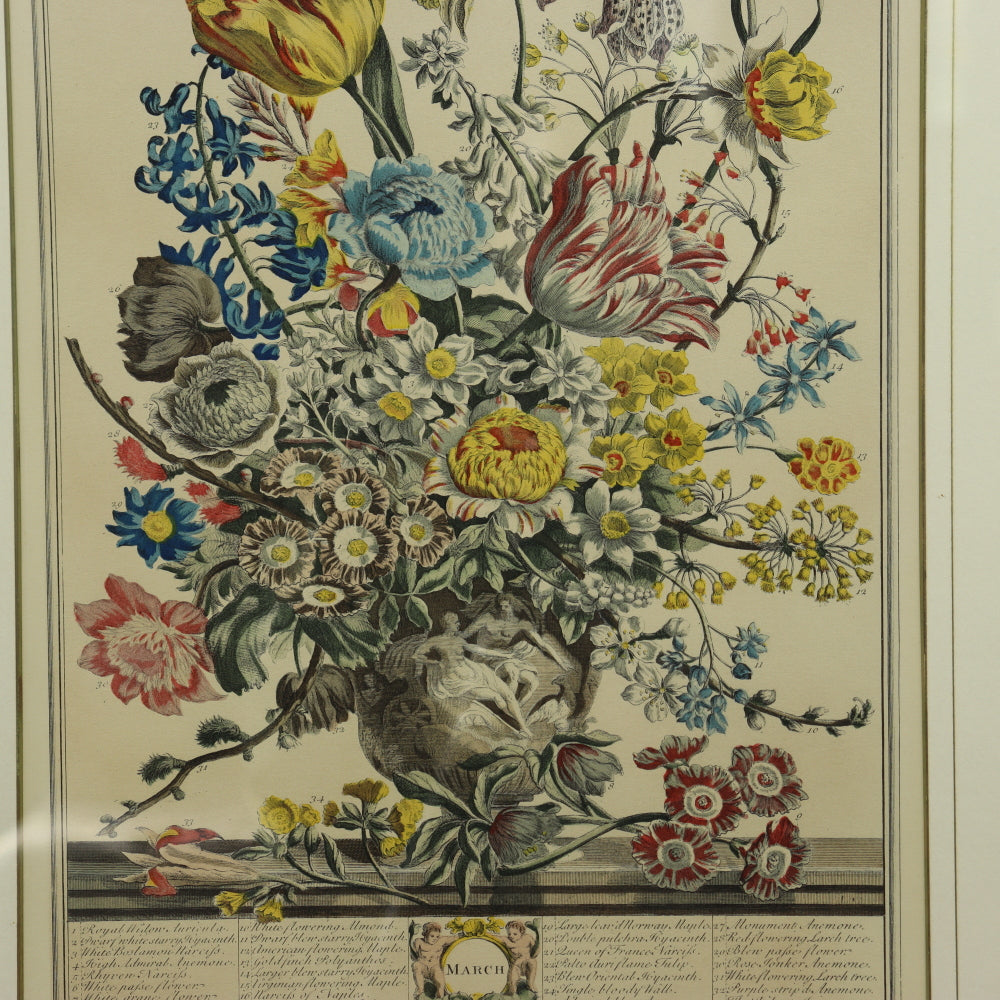 AW7-011: C 1730 Robert Furber - March Floral Calendar Hand Colored Etching - Engraved by H. Fletcher