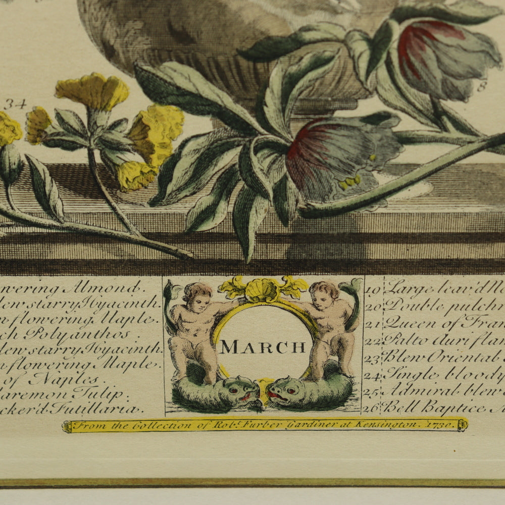 AW7-011: C 1730 Robert Furber - March Floral Calendar Hand Colored Etching - Engraved by H. Fletcher