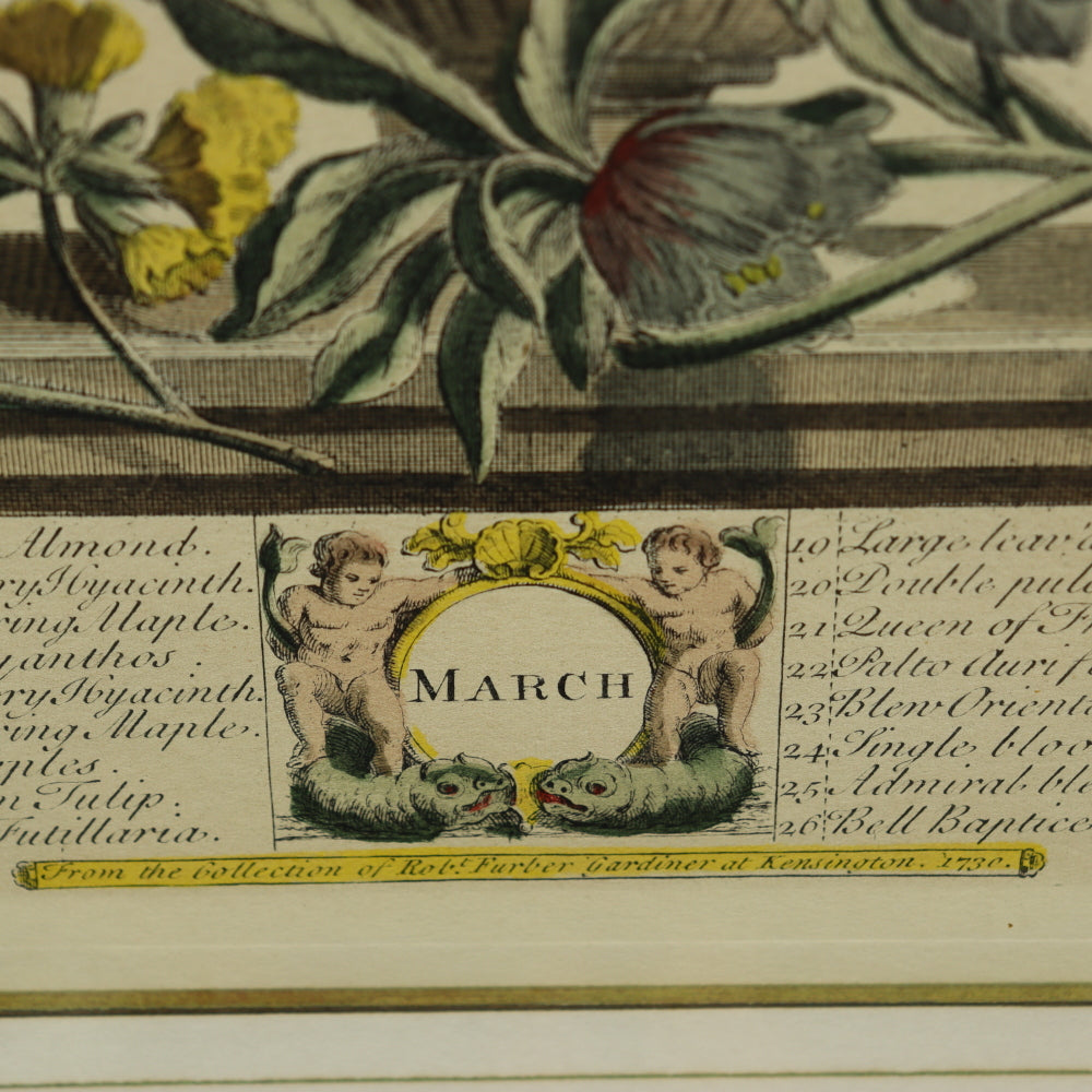 AW7-011: C 1730 Robert Furber - March Floral Calendar Hand Colored Etching - Engraved by H. Fletcher