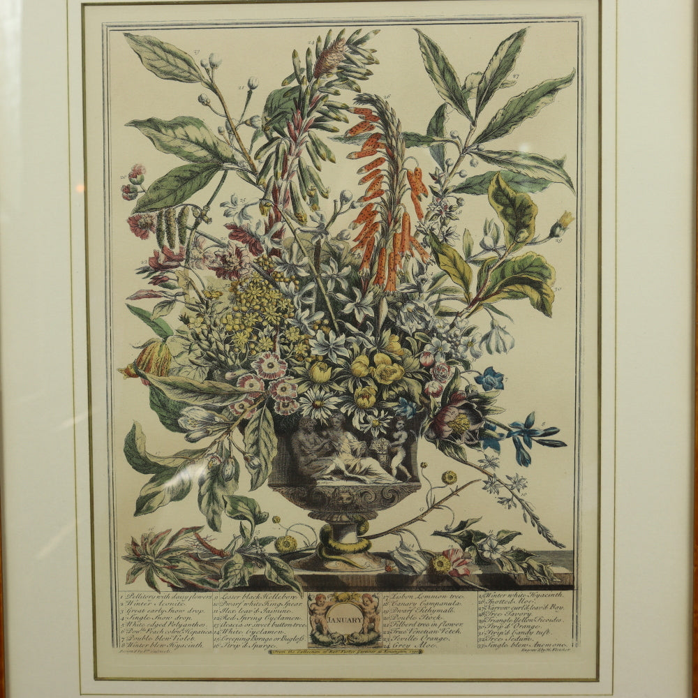 AW7-015: C 1730 Robert Furber - January Floral Calendar Hand Colored Etching - Engraved by H. Fletcher