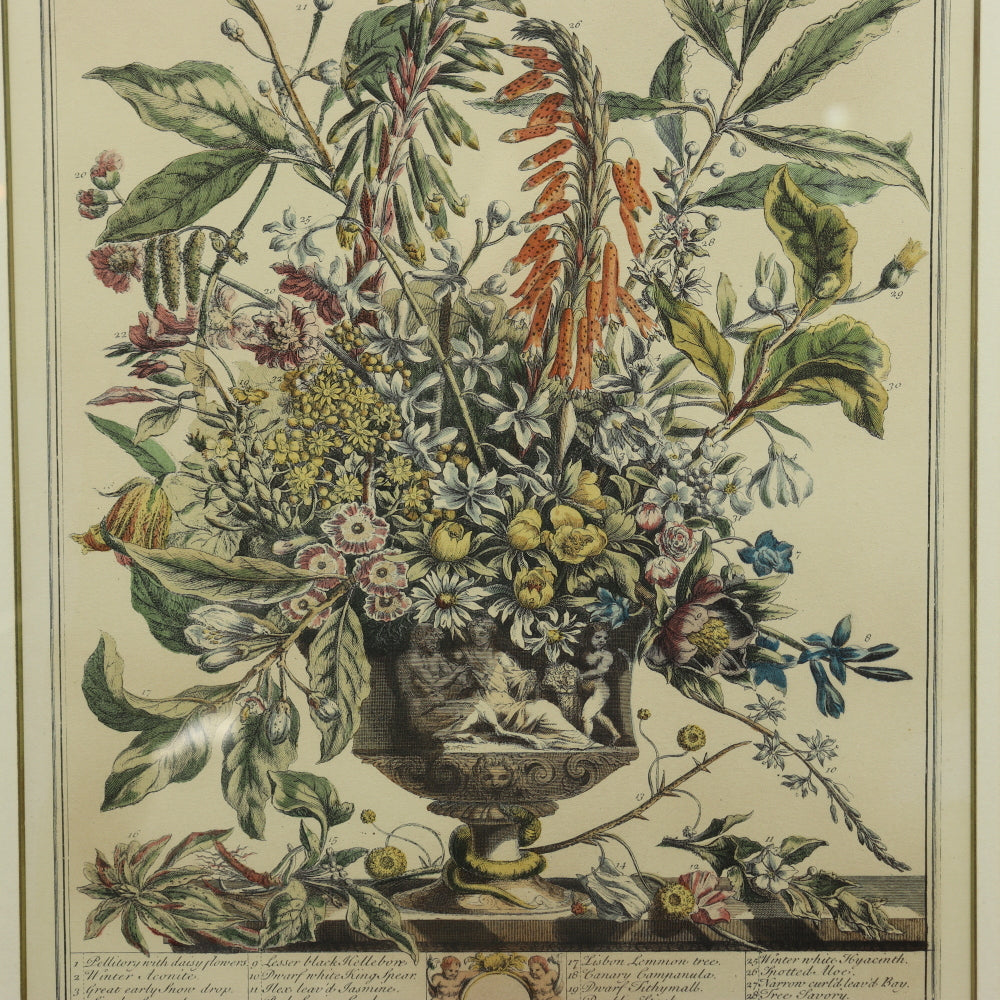 AW7-015: C 1730 Robert Furber - January Floral Calendar Hand Colored Etching - Engraved by H. Fletcher