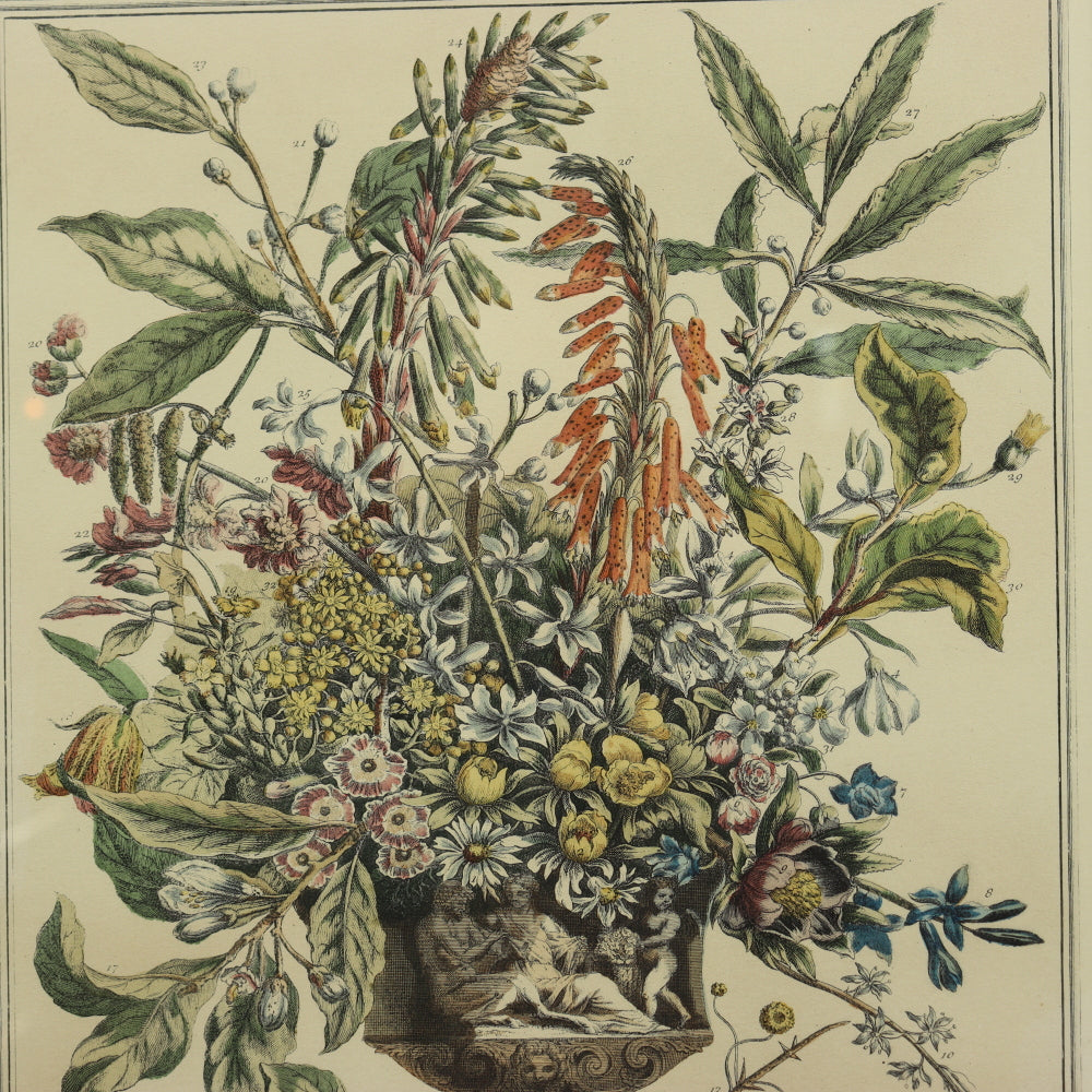 AW7-015: C 1730 Robert Furber - January Floral Calendar Hand Colored Etching - Engraved by H. Fletcher