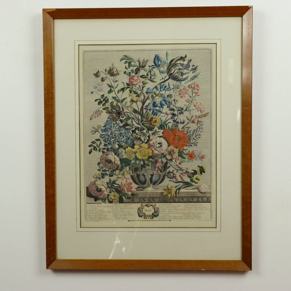 C 1730 Robert Furber - May Floral Calendar Hand Colored Etching - Engraved by H. Fletcher | Work of Man