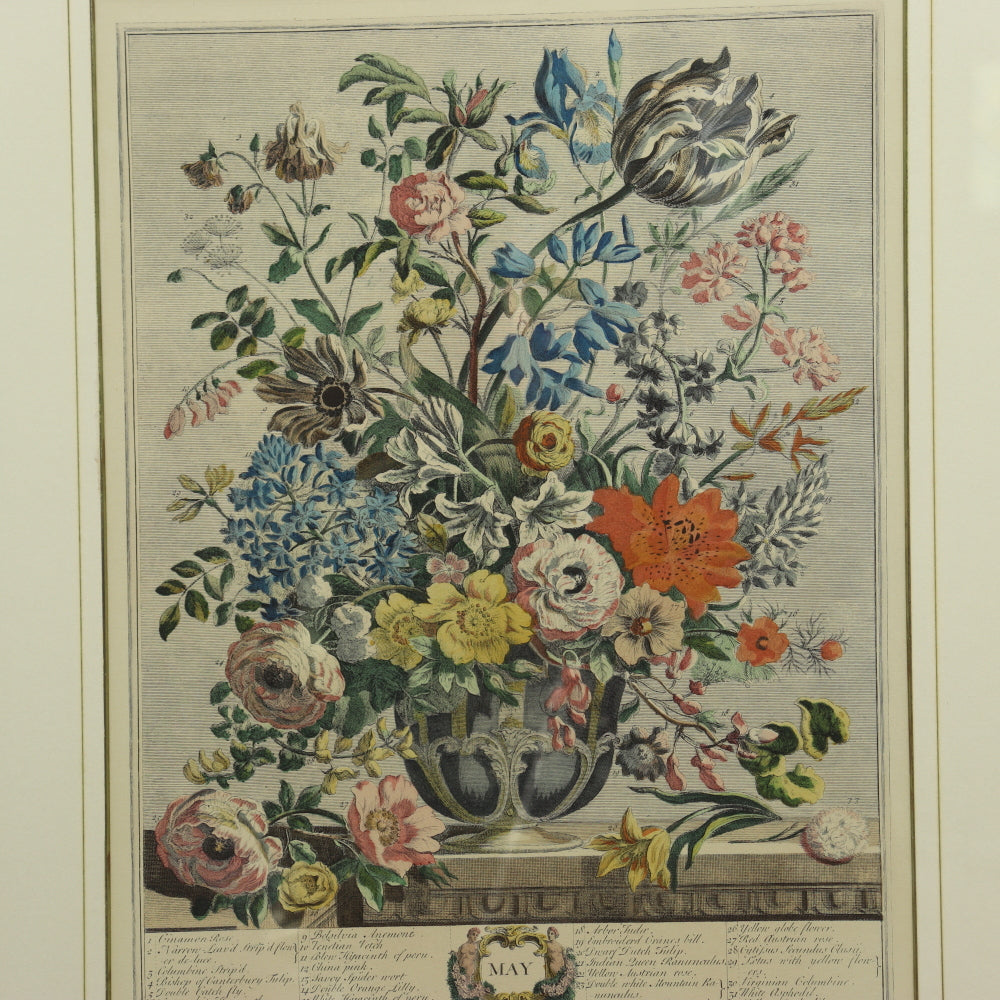 AW7-014: C 1730 Robert Furber - May Floral Calendar Hand Colored Etching - Engraved by H. Fletcher