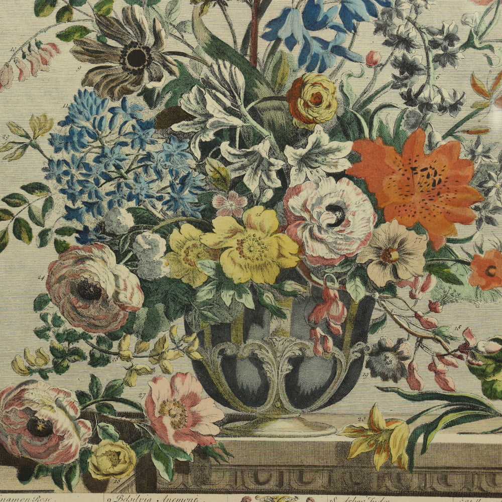 AW7-014: C 1730 Robert Furber - May Floral Calendar Hand Colored Etching - Engraved by H. Fletcher