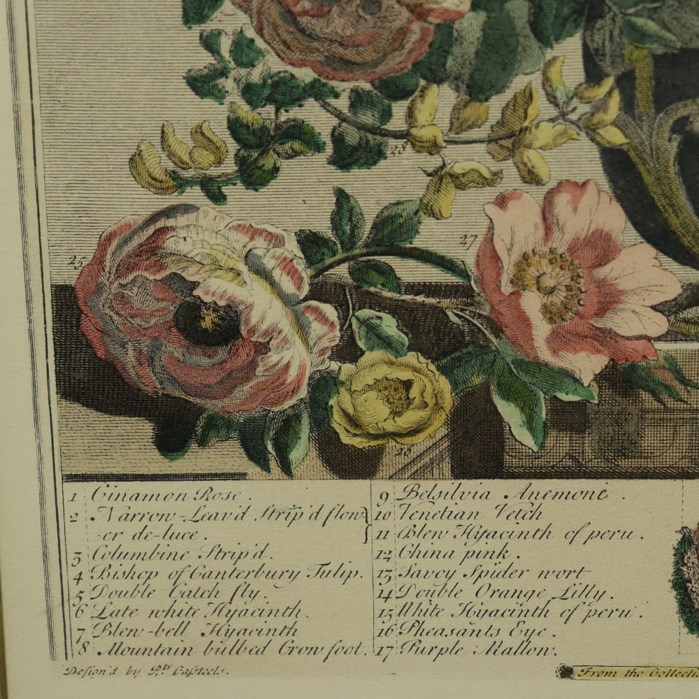 AW7-014: C 1730 Robert Furber - May Floral Calendar Hand Colored Etching - Engraved by H. Fletcher