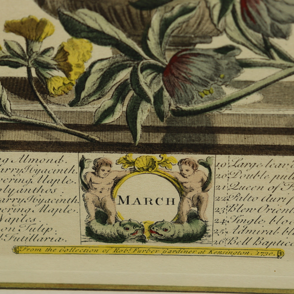 AW7-011: C 1730 Robert Furber - March Floral Calendar Hand Colored Etching - Engraved by H. Fletcher