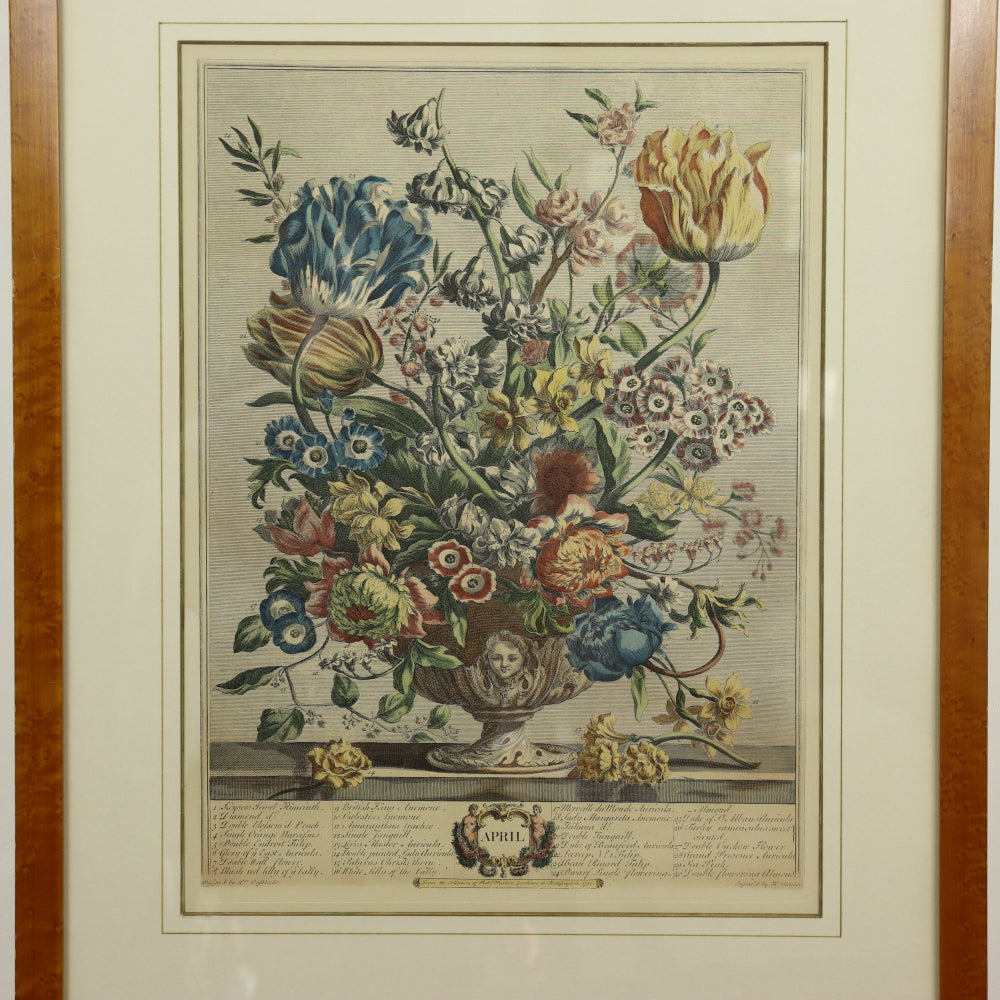 AW7-016: C 1730 Robert Furber - April Floral Calendar Hand Colored Etching - Engraved by H. Fletcher