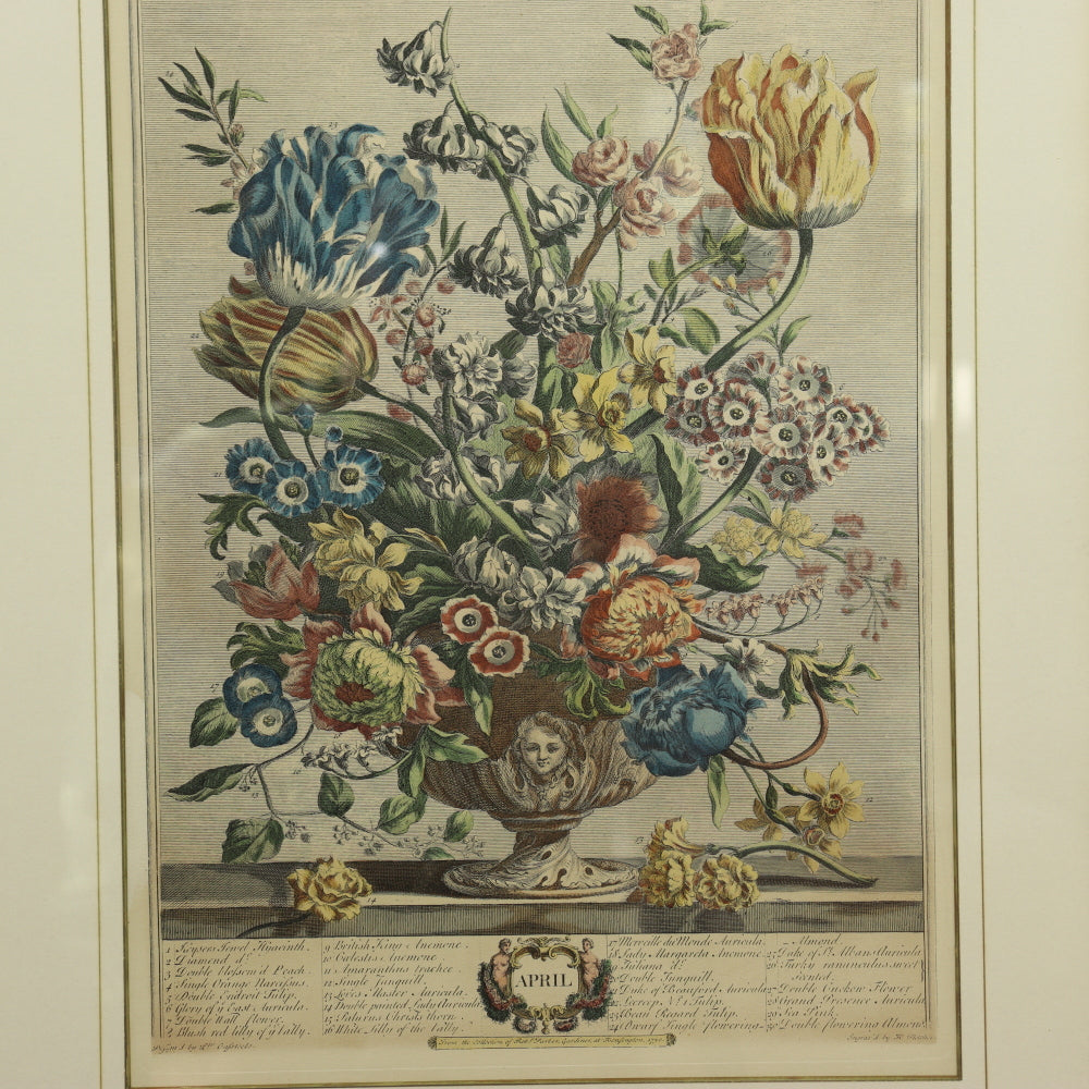 AW7-016: C 1730 Robert Furber - April Floral Calendar Hand Colored Etching - Engraved by H. Fletcher