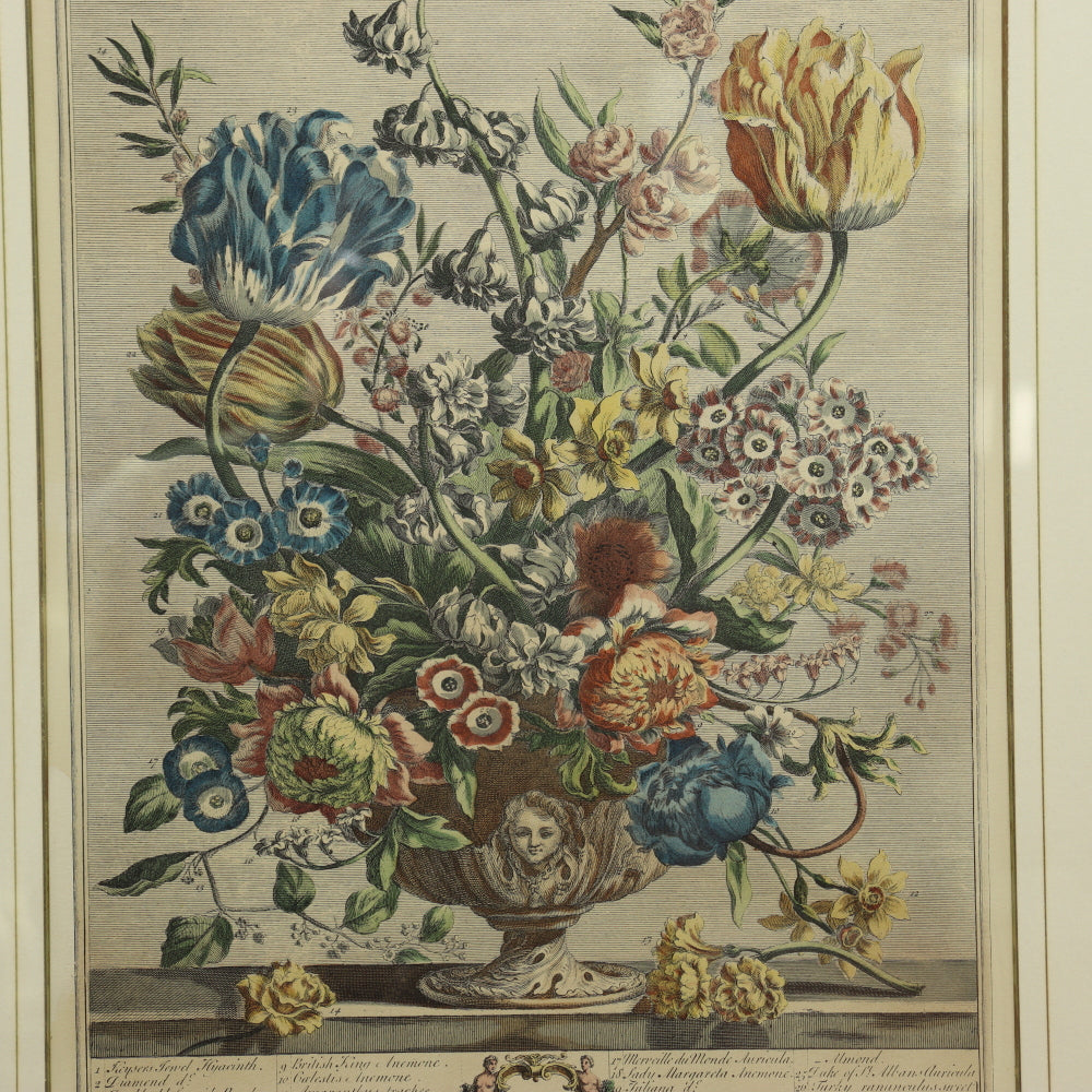 AW7-016: C 1730 Robert Furber - April Floral Calendar Hand Colored Etching - Engraved by H. Fletcher