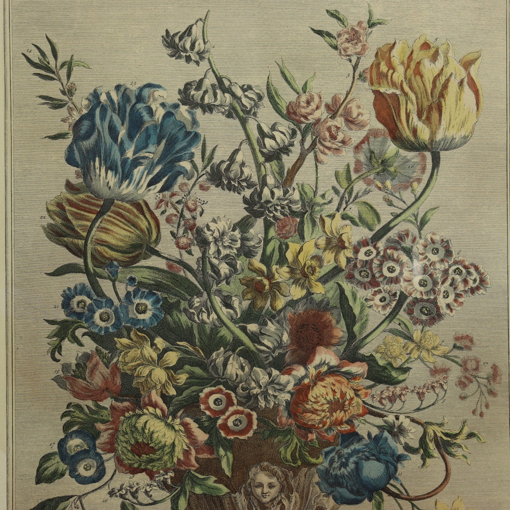 AW7-016: C 1730 Robert Furber - April Floral Calendar Hand Colored Etching - Engraved by H. Fletcher