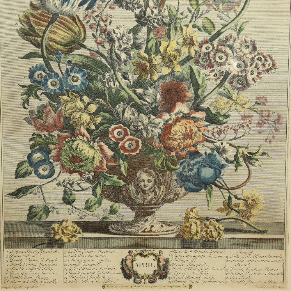 AW7-016: C 1730 Robert Furber - April Floral Calendar Hand Colored Etching - Engraved by H. Fletcher