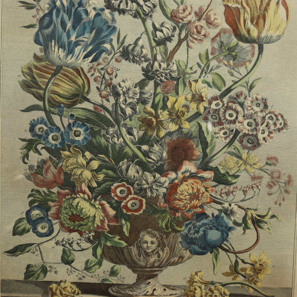 AW7-016: C 1730 Robert Furber - April Floral Calendar Hand Colored Etching - Engraved by H. Fletcher