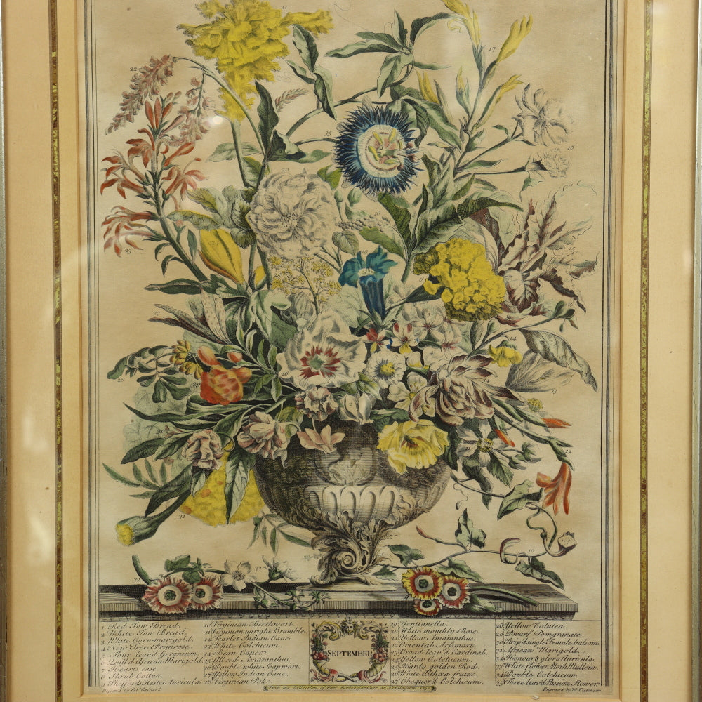 AW7-012: C 1730 Robert Furber - September Floral Calendar Hand Colored Etching - Engraved by H. Fletcher