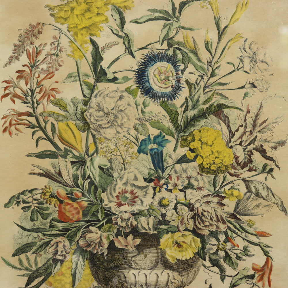 AW7-012: C 1730 Robert Furber - September Floral Calendar Hand Colored Etching - Engraved by H. Fletcher