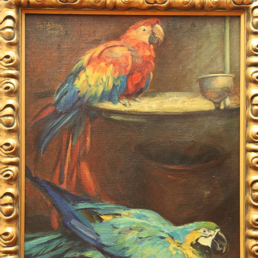 AW730: John JA Dixon "Our Feathered Friends" Oil on Canvas Painting of Two Parrots Circa 1917