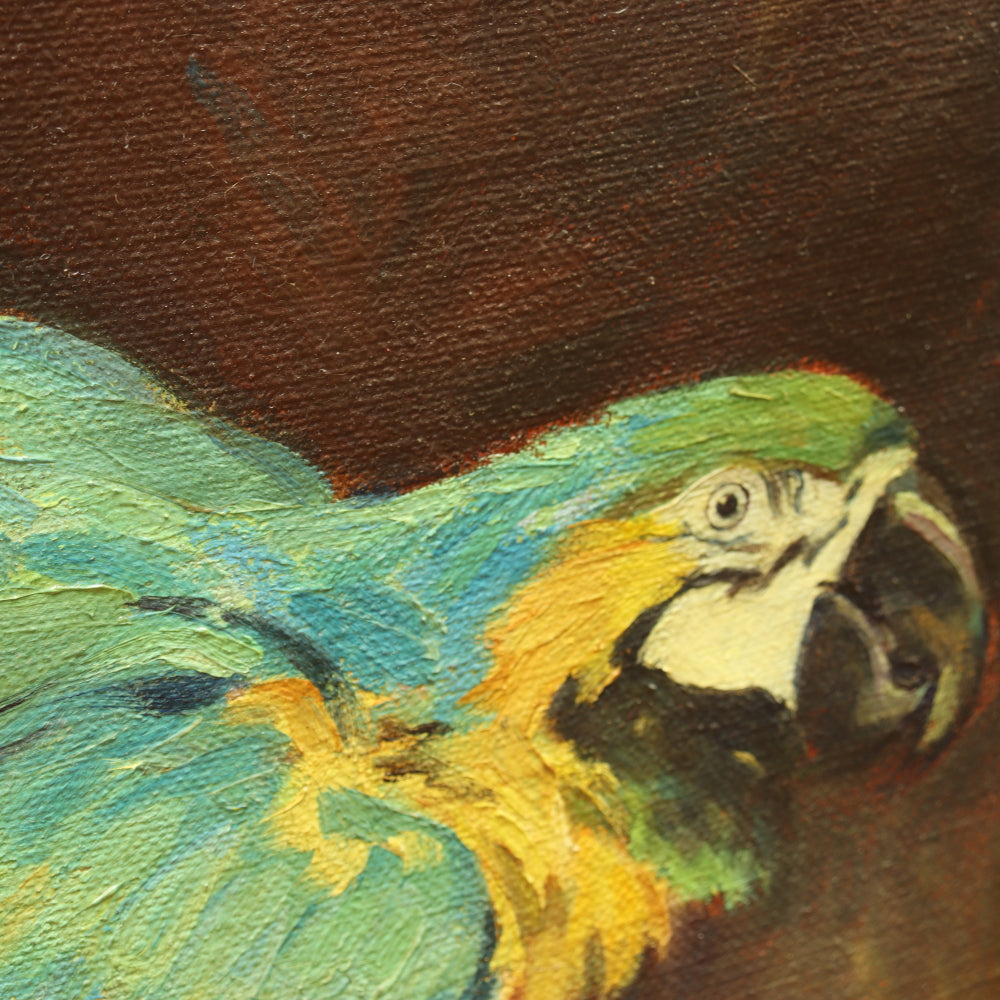 AW730: John JA Dixon "Our Feathered Friends" Oil on Canvas Painting of Two Parrots Circa 1917