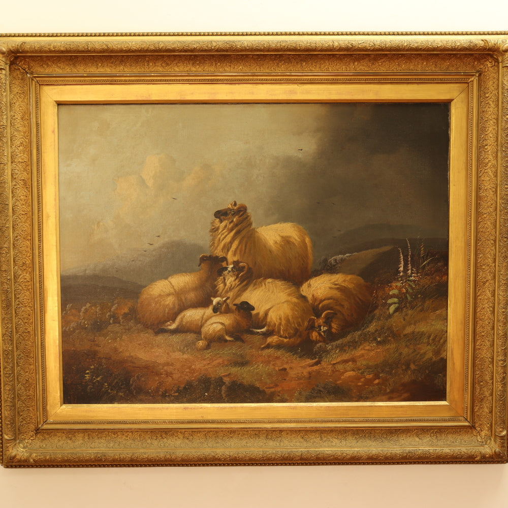 AW226: Alfred Morris Sheep in a Highland Landscape Oil on Canvas Painting Circa 1878