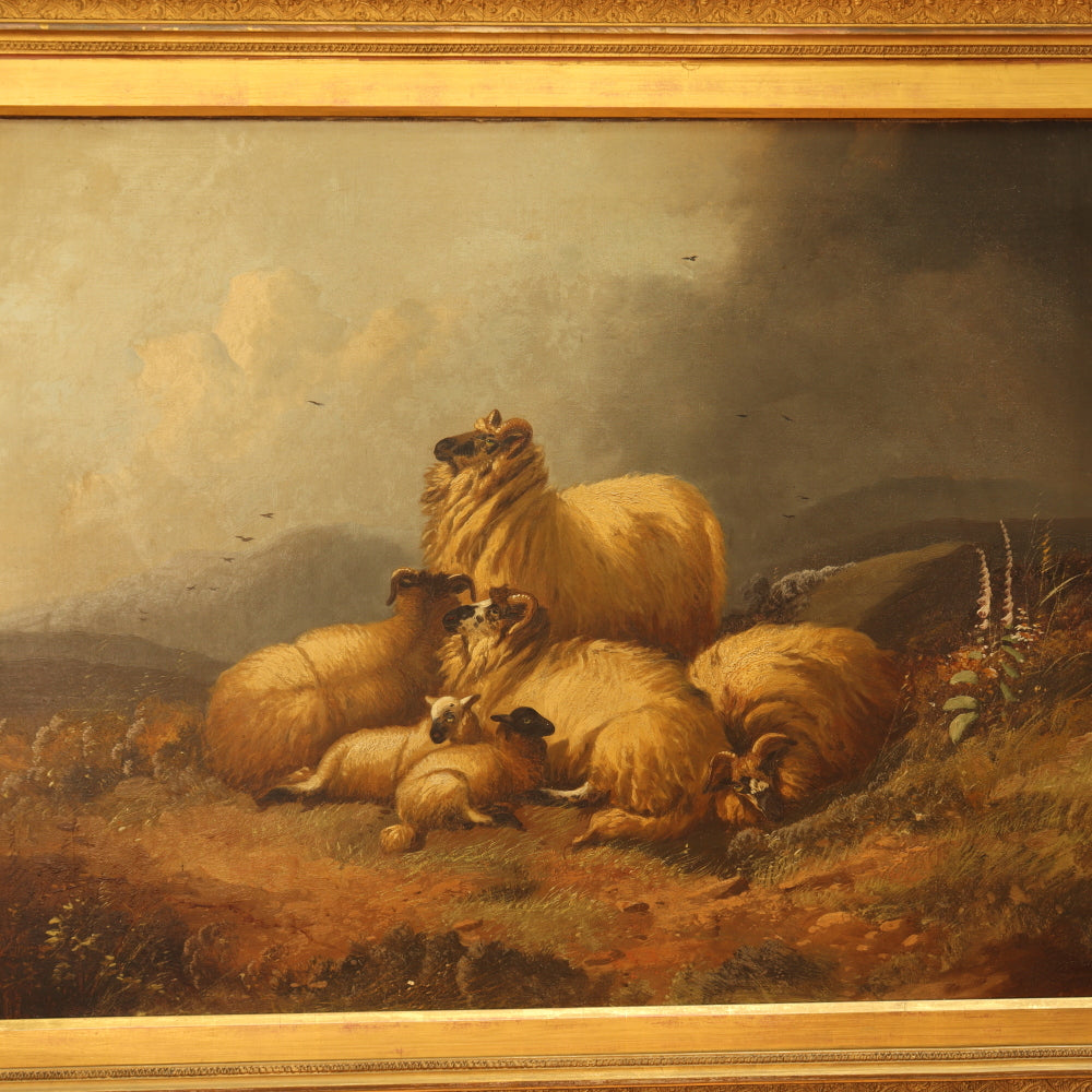 AW226: Alfred Morris Sheep in a Highland Landscape Oil on Canvas Painting Circa 1878