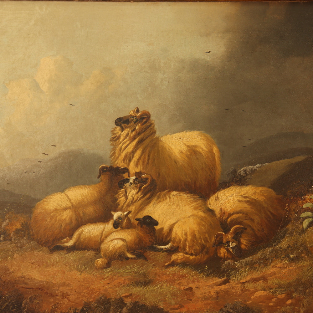 AW226: Alfred Morris Sheep in a Highland Landscape Oil on Canvas Painting Circa 1878