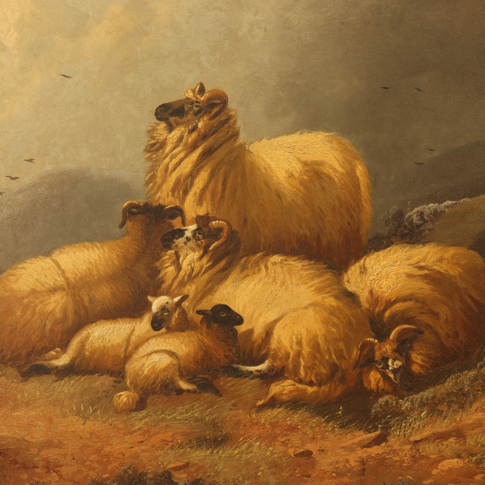 AW226: Alfred Morris Sheep in a Highland Landscape Oil on Canvas Painting Circa 1878