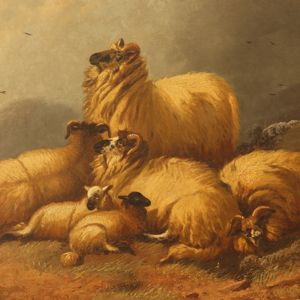 AW226: Alfred Morris Sheep in a Highland Landscape Oil on Canvas Painting Circa 1878