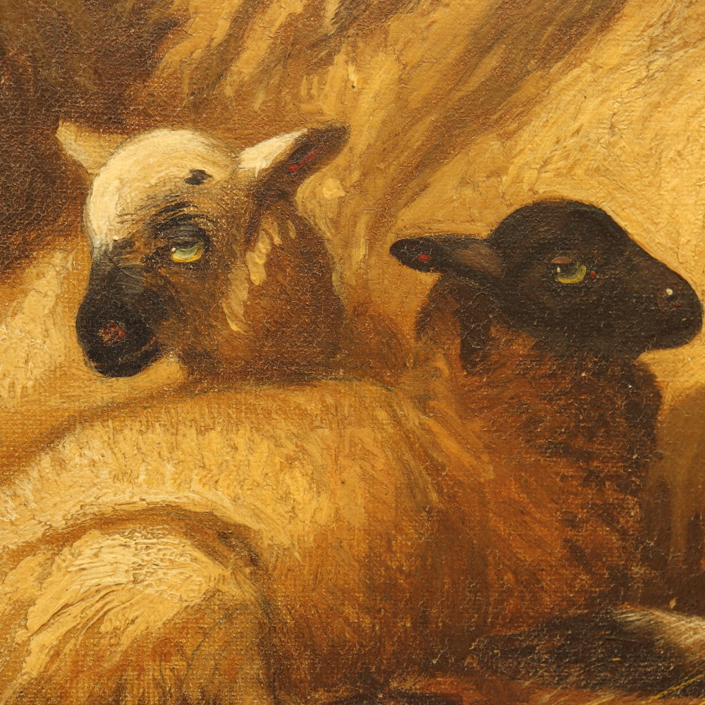 AW226: Alfred Morris Sheep in a Highland Landscape Oil on Canvas Painting Circa 1878