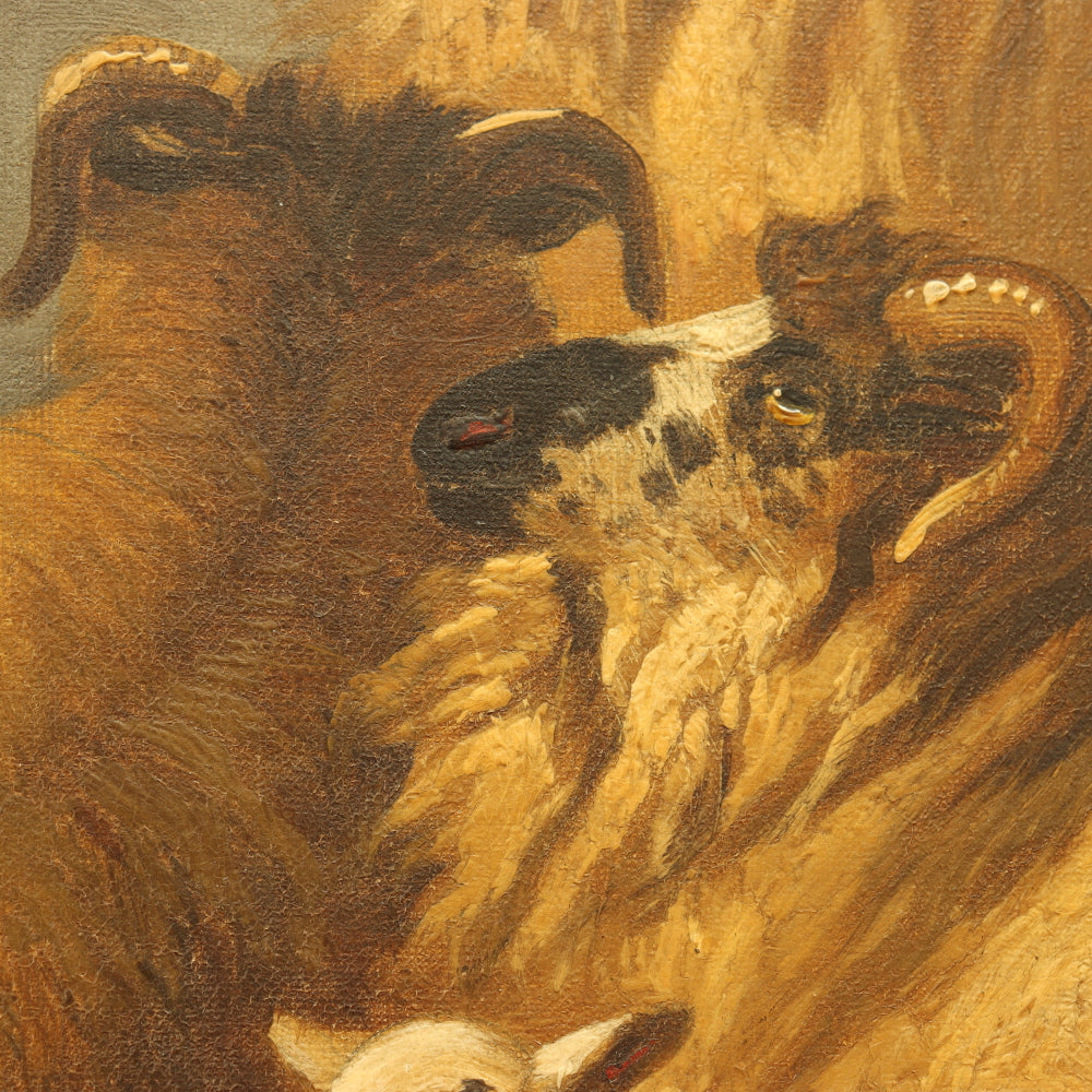 AW226: Alfred Morris Sheep in a Highland Landscape Oil on Canvas Painting Circa 1878