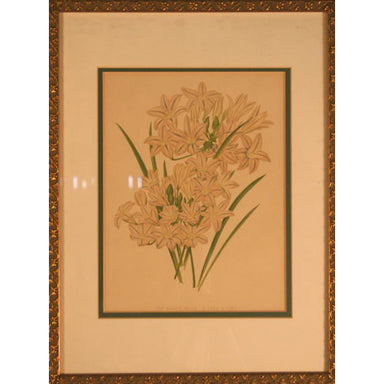 European School - Botanical Print - Lithograph | Work of Man