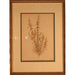 European School - Botanical Print - Lithograph | Work of Man